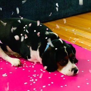 Meet your Posher, Julia